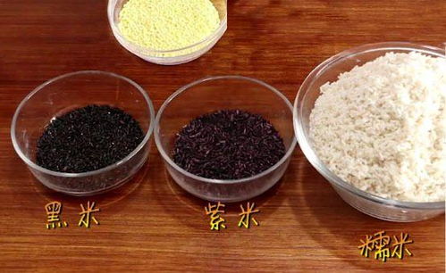 9種口味粽子餡料,全部打包,總有一款適合你